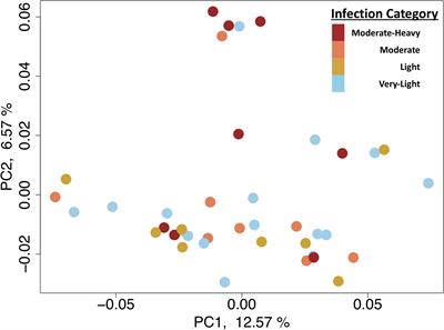 Characterizing the Epigenetic and Transcriptomic Responses to Perkinsus marinus Infection in the Eastern Oyster Crassostrea virginica